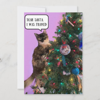 Rolig katt i trubbel med tomten jul julkort