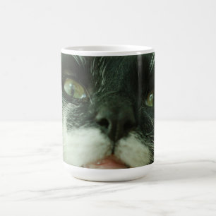 Rolig katt kattunge husdjur foto kaffemugg