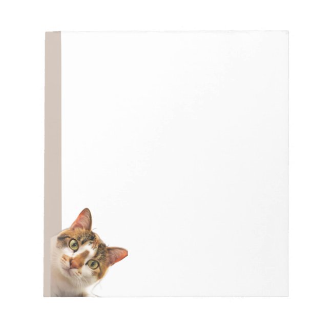 Rolig katt Kattunge som tittar på dig Sött djur Ku Anteckningsblock (Framsida)