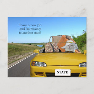 Rolig katt-/kattungeflytta för anpassade meddelande vykort