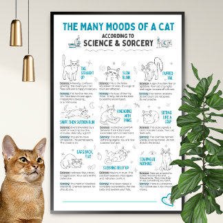 Rolig Katt Kroppsspråk Poster – Kattens Humördiagr