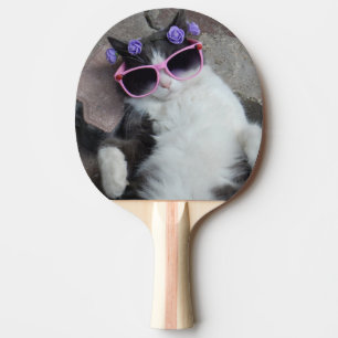 Rolig katt med rosa exponeringsglas pingisracket