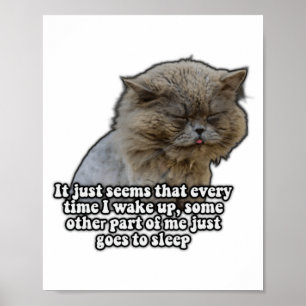 Rolig katt-meme för kattälskare och kattägare T S Poster