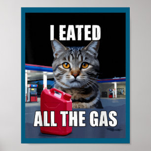 Rolig katt meme jag åt ville ha all gas rolig för poster