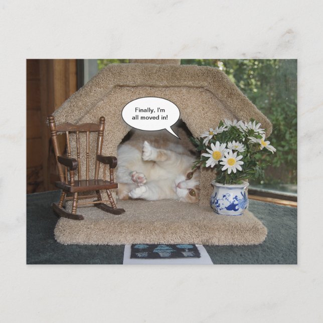 Rolig Katt Ny Adress Flyttad Meddelande Vykort (Framsida)
