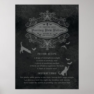 Rolig katt- och fladdermusrecept för potion Spelan Poster