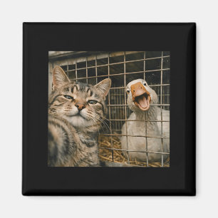Rolig katt och gås selfie konstig djurvänskap magnet