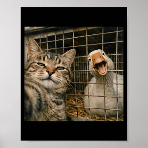 Rolig katt och gås selfie konstig djurvänskap poster
