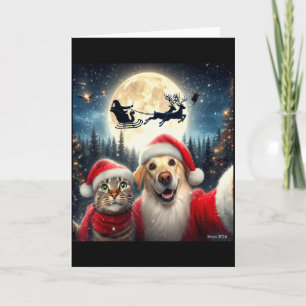 Rolig katt- och hund-selfie med tomte julen kort