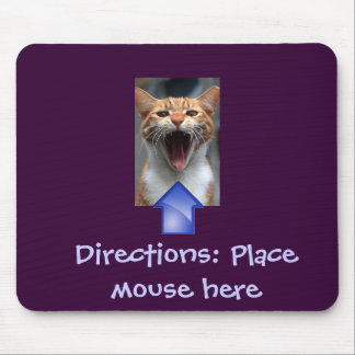 Rolig katt och Mousepad Musmatta