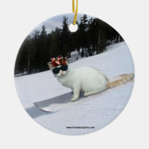 Rolig katt på en Snowboardhelgdagprydnad Julgransprydnad Keramik