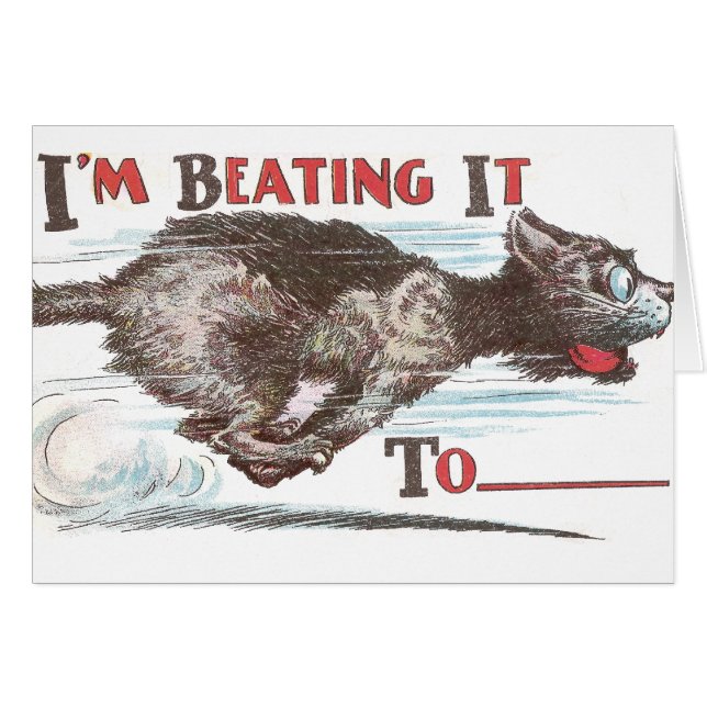 Rolig katt på springan hälsningskort (Framsidan Horizontal)