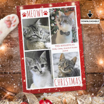 Rolig Katt Röd MEOWY JUL 4 Bilder