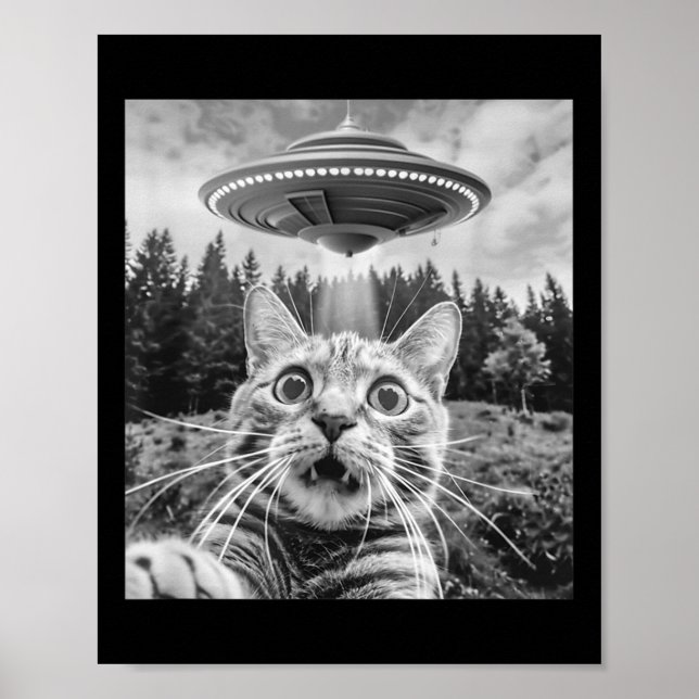 Rolig katt-selfie med utomjording Ufo rolig katt f Poster (Framsidan)