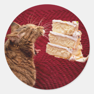 Rolig katt som äter ett stort biet av tårtan runt klistermärke