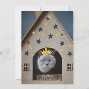 Rolig katt som bär krona av guldglitter
