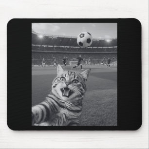 Rolig katt tar selfie på fotbollsstadion S Musmatta