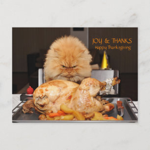 Rolig katt Thanksgiving vykort