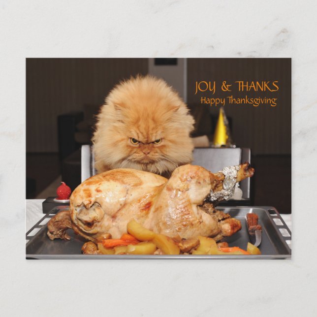 Rolig katt Thanksgiving vykort (Framsida)