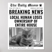 Rolig katt tidning Breaking News Foto