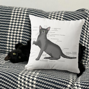 Rolig kattanatomi diagram humor Nörd Kudde