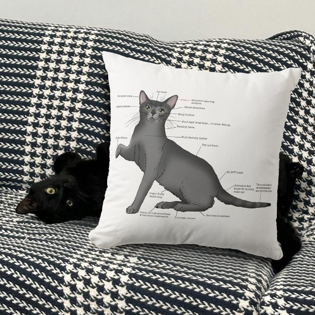 Rolig kattanatomi diagram humor Nörd Kudde (Skapare uppladdad)