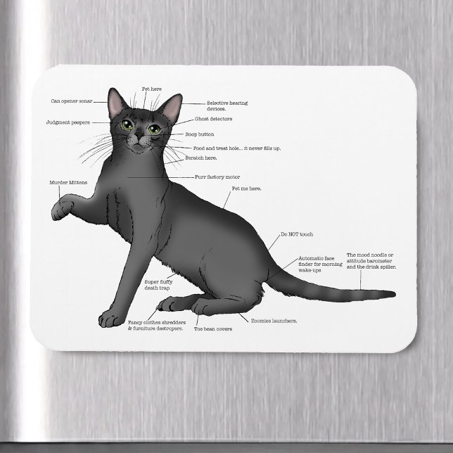 Rolig kattanatomi diagram humor Nörd Magnet (Skapare uppladdad)