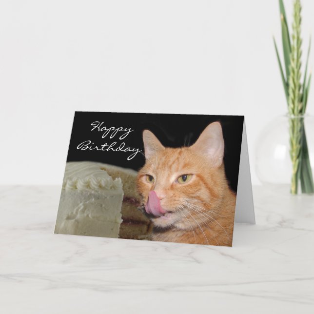 Rolig kattfödelsedag kort (Framsida)