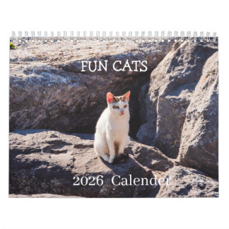 Rolig kattfotokalender – Morrhår och kaos Kalender