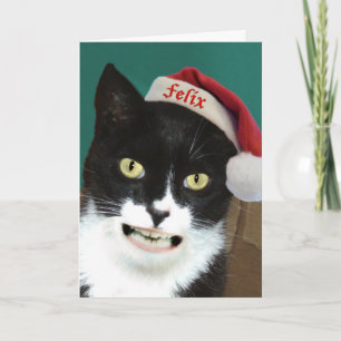 Rolig kattjulkort helgkort