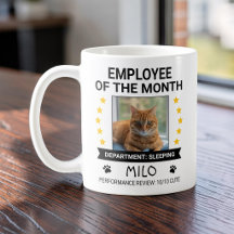Rolig kattkontorshumor Årets anställd foto
