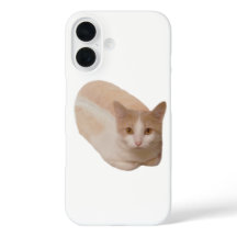 Rolig kattlimpa meme kattbröd telefonfodral