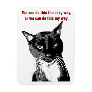 Rolig kattmagnet magnet