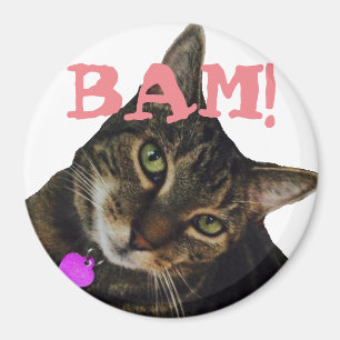 Rolig kattmagnet magnet