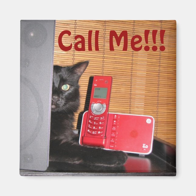 Rolig kattmagnet! magnet (Framsidan)