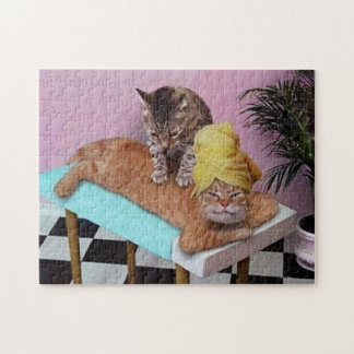 Rolig kattmassage pussel