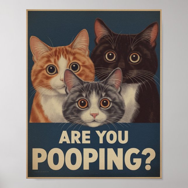 Rolig kattplans | Bajsar du? | Kattkonst Poster (Framsidan)