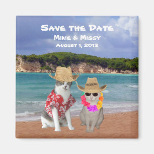 Rolig kattstrandbröllop spara datum magnet