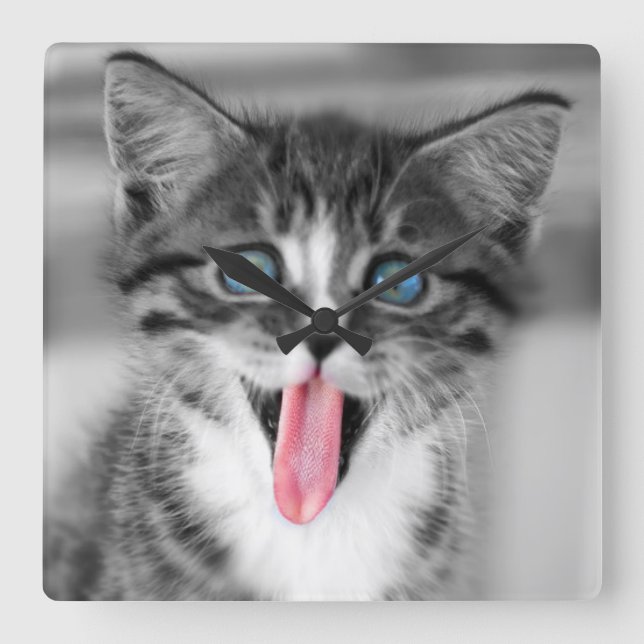 Rolig kattunge fyrkantig klocka (Framsida)