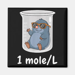 Rolig kemi 1 Mol L Magnet