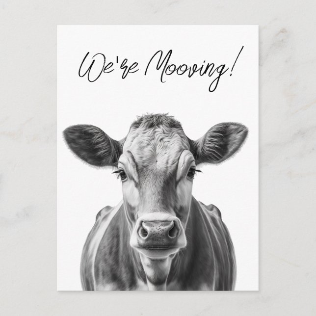 Rolig ko Vi flyttar meddelande  (Framsida)