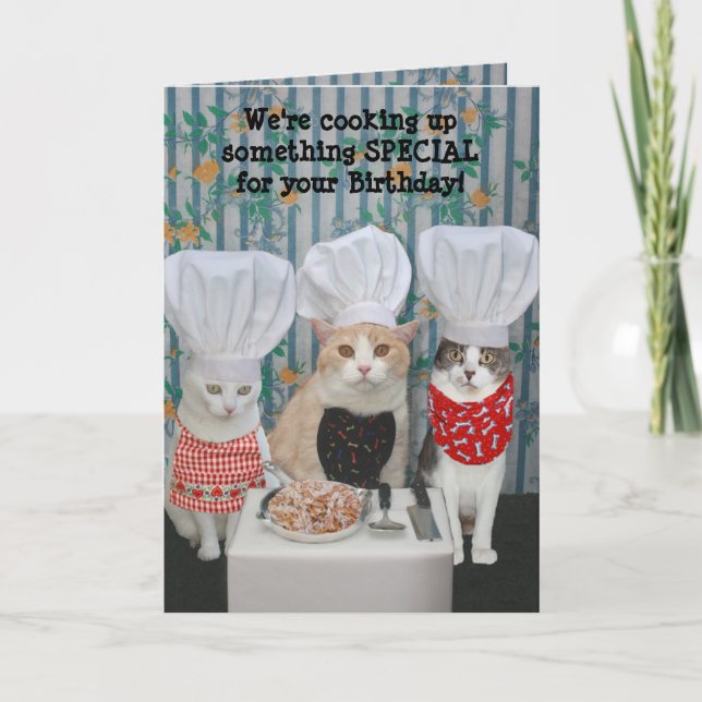 Rolig kockkattfödelsedag kort (Framsida)