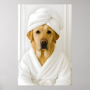 Rolig Labrador Badrumstryck, Labrador I Poster