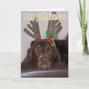Rolig Labrador Glitter Hjorthorn Anpassad Text Inu Helgkort