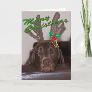 Rolig Labrador Glitterhorn Anpassad text inuti Helgkort