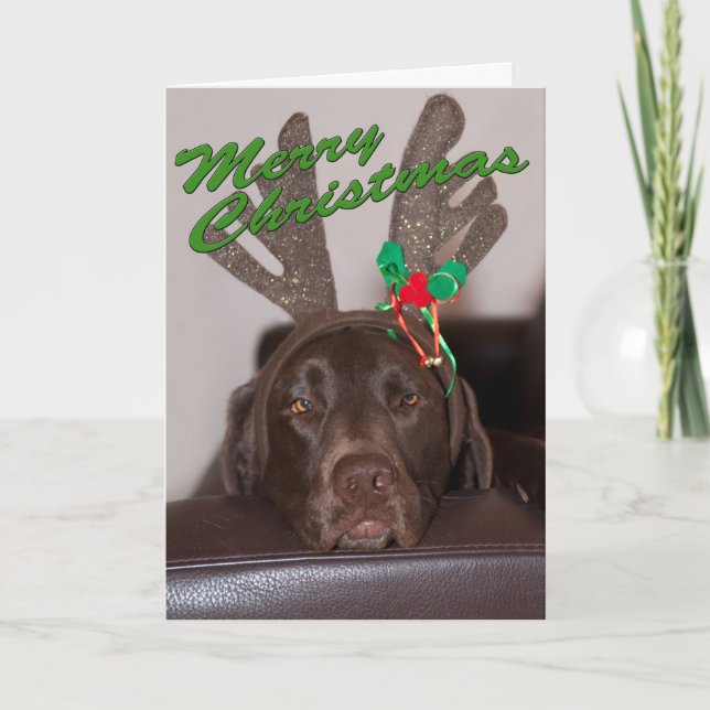 Rolig Labrador Glitterhorn Anpassad text inuti Helgkort (Framsida)