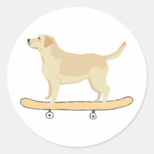 Rolig Labrador Skateboard Hund T Tröja Present Runt Klistermärke