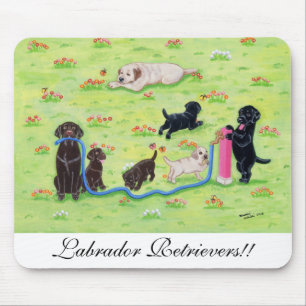 Rolig Labradors för vår målning Musmatta