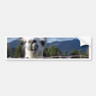 Rolig le Llama i sydliga Oregon Bildekal