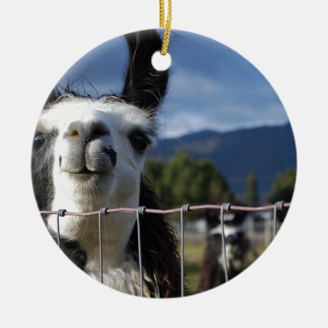 Rolig le Llama i sydliga Oregon Julgransprydnad Keramik (Framsidan)